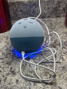 Echo Portable Smart Speaker in Light Blue and Teal